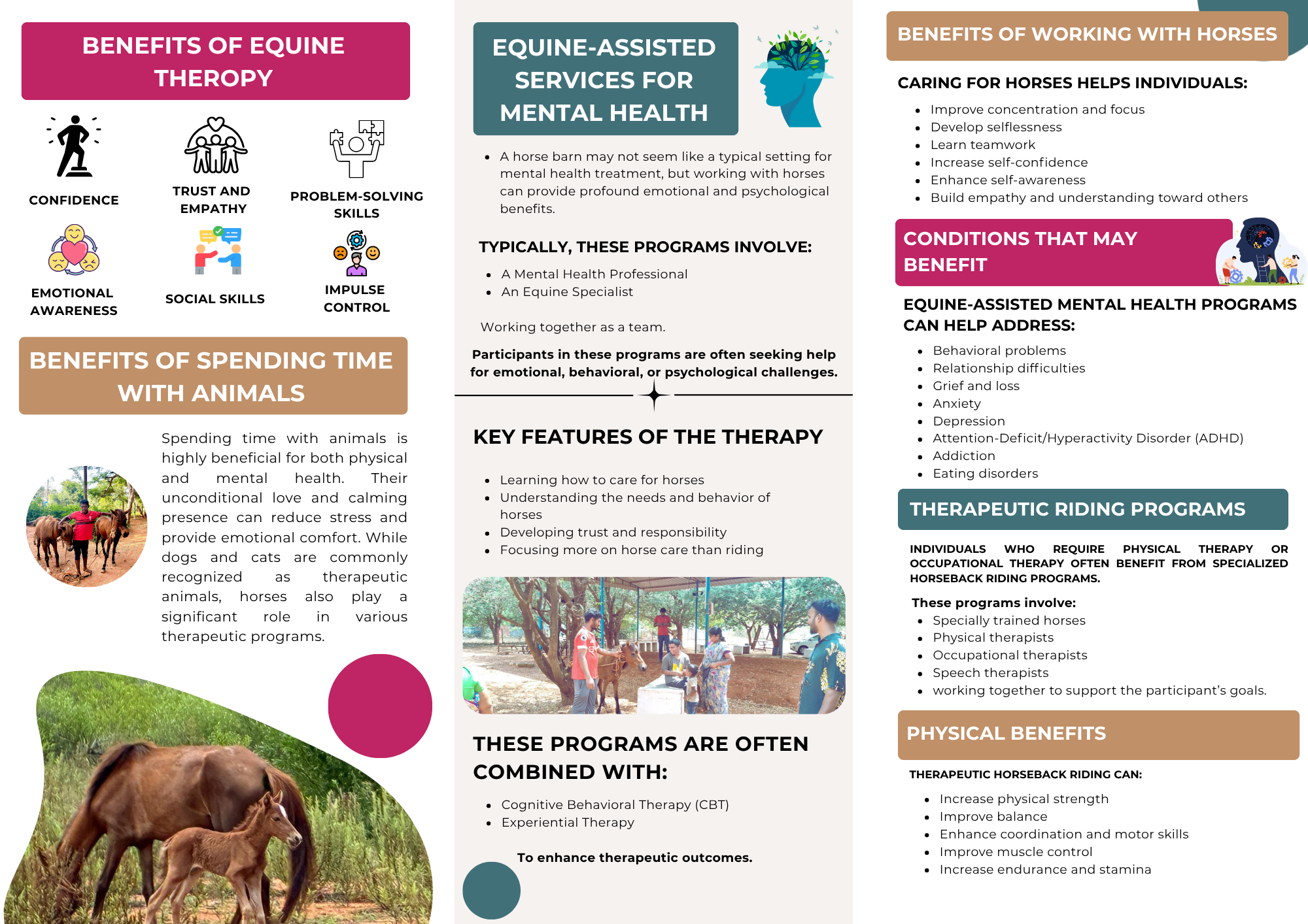 Equine therapy brochure — English, page 2