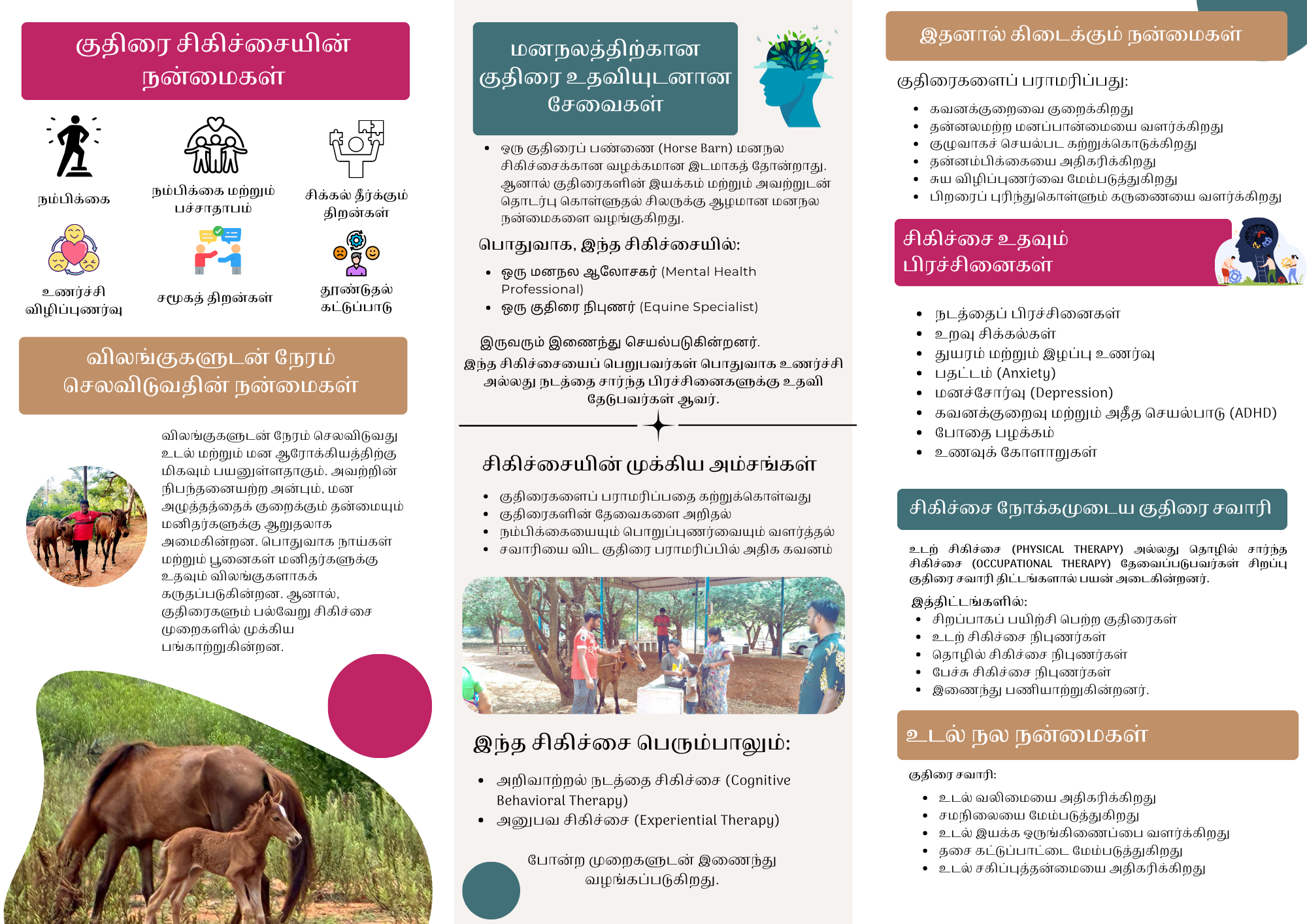 Equine therapy brochure — Tamil, page 2